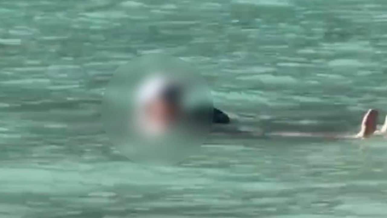 Foreign man swims in closed Maya Bay