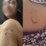 Police’s son accused of brutally assaulting Thai actress surrenders