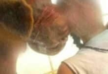 2 British tourists expose Chiang Mai monk for inappropriate kissing