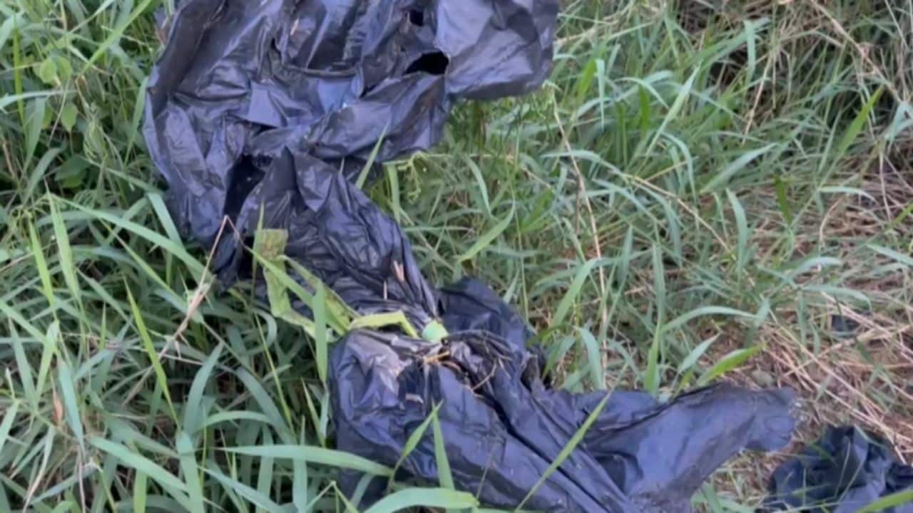 Skull in Chachoengsao may belong to missing womani in Pattaya
