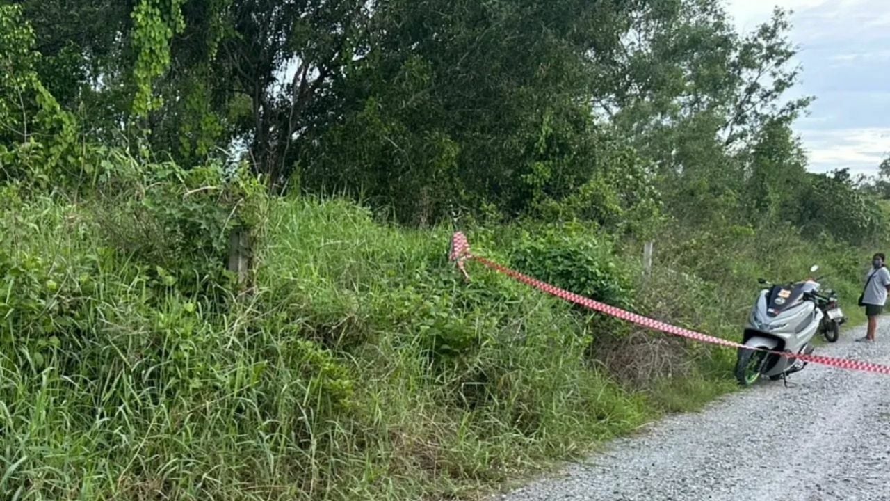 Red hair skul found rollowing out of roadside forest