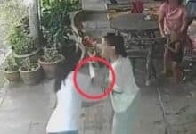 Phuket woman at large after stabbing victim over alleged affair