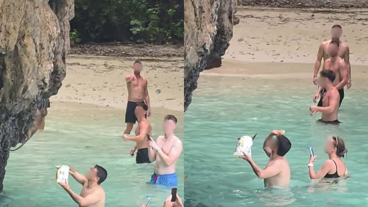 Foreign man wanted for feeding monkeys in Krabi, Koh Phi Phi