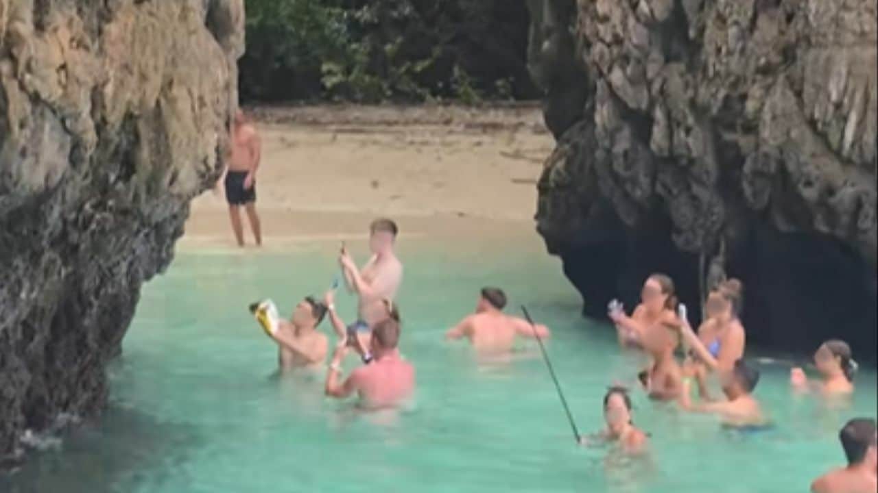 Illegal monkey feeding on Phi Phi Island