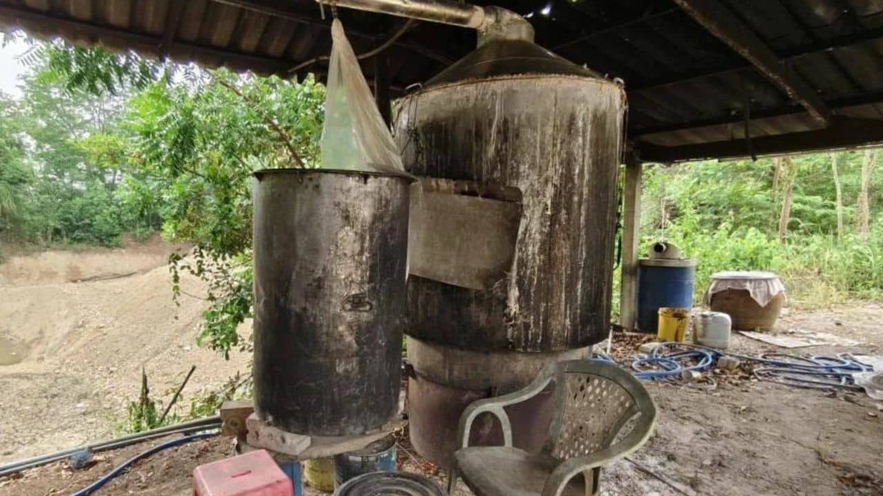 Illegal herbal medicine production