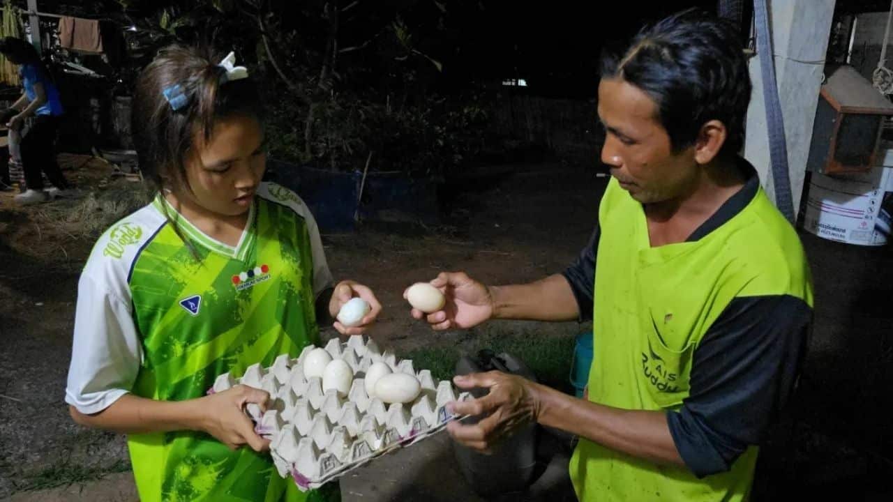 Fake egg reported in Nong Khai