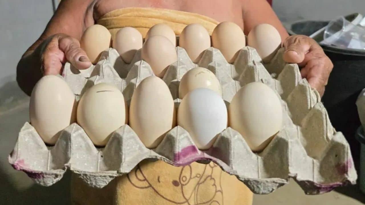 Thai people claim they were tricked to buy fake eggs