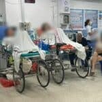 7 Russian nationals hospitalised after eating unidentified wild fruit