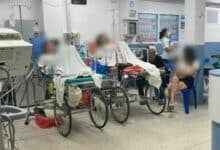 7 Russian nationals hospitalised after eating unidentified wild fruit