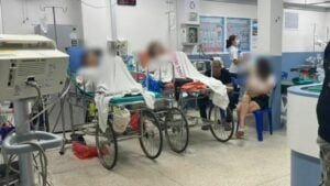 7 Russian nationals hospitalised after eating unidentified wild fruit