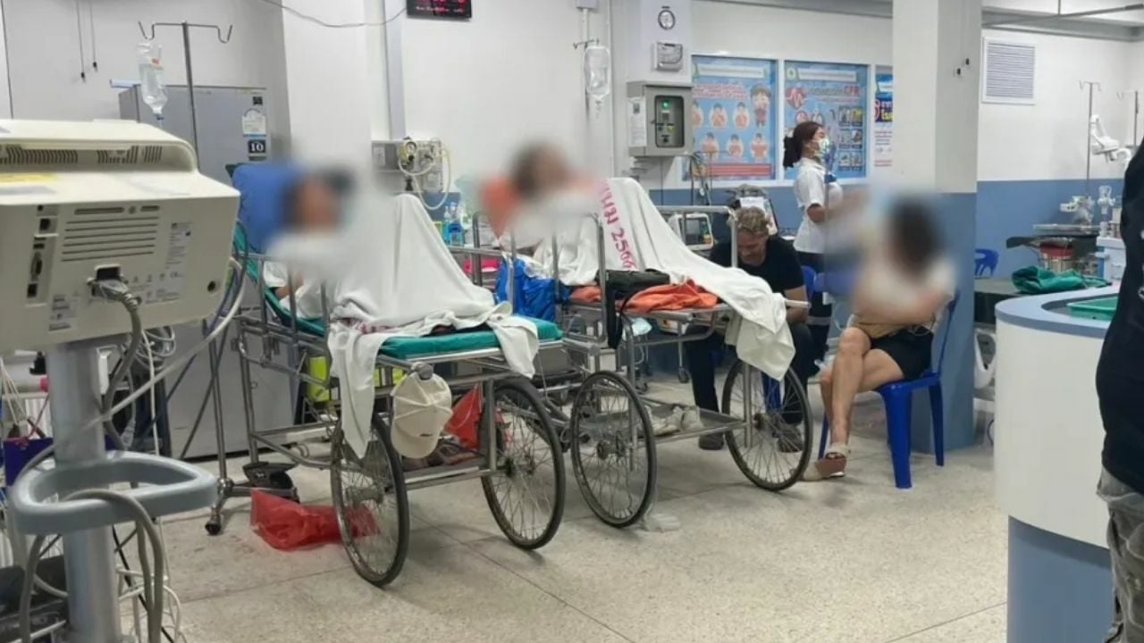 7 Russian nationals hospitalised after eating unidentified wild fruit