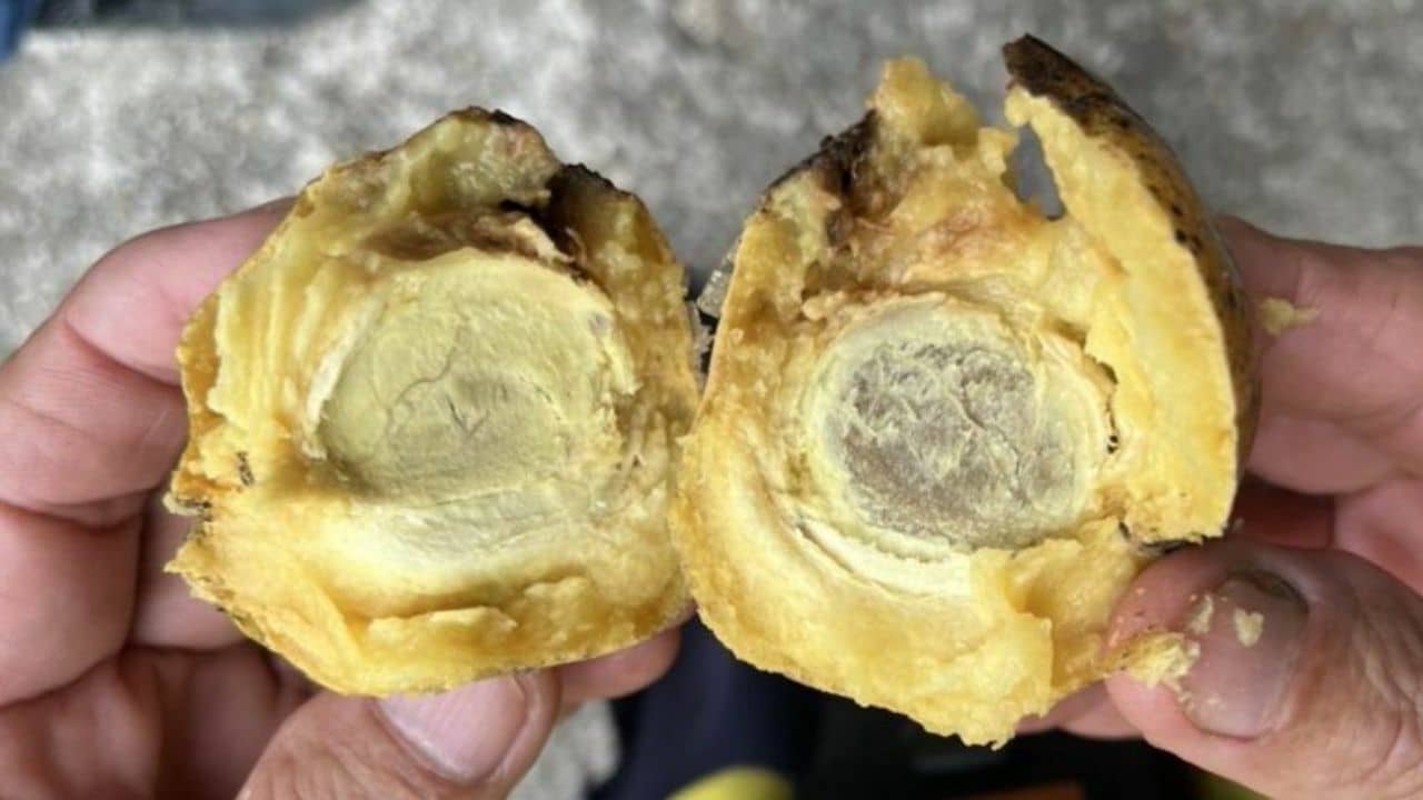 Unidentified fruit sent Russian to Surat Thani hospital