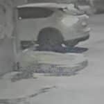 Man chooses to defecate on public road despite nearby bathroom | Thaiger