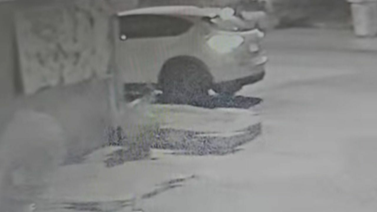 Man chooses to defecate on public road despite nearby bathroom