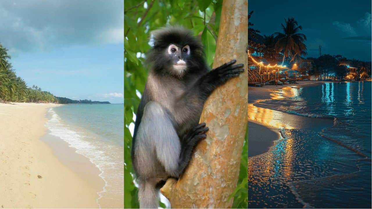 Collage of some notable acticities you can do in Koh Samui