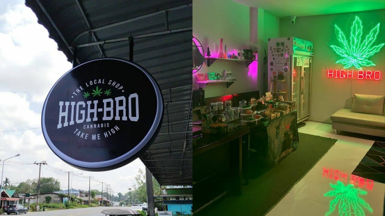 High-Bro Cannabis Krabi