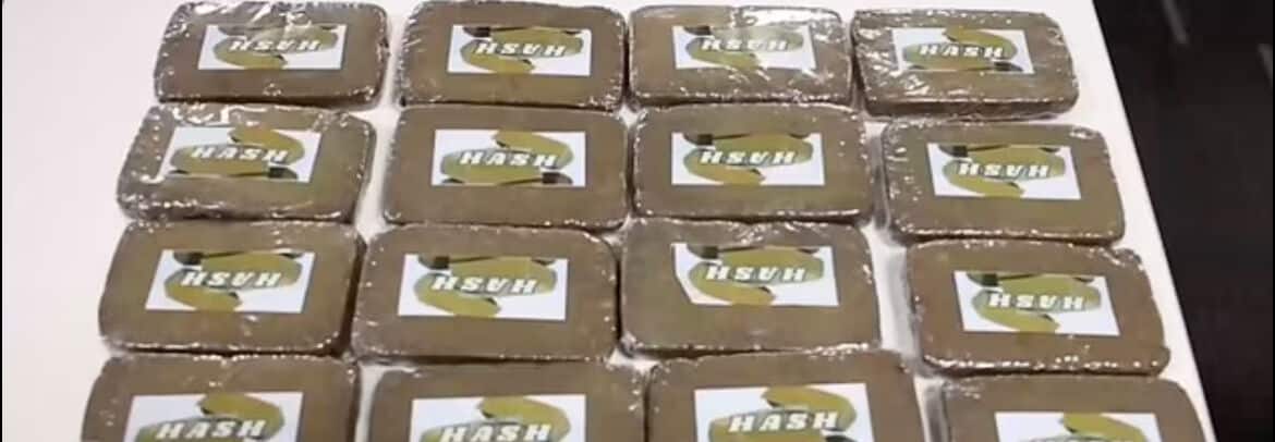 High stakes: Teesside teen busted in cannabis smuggle shock | News by Thaiger