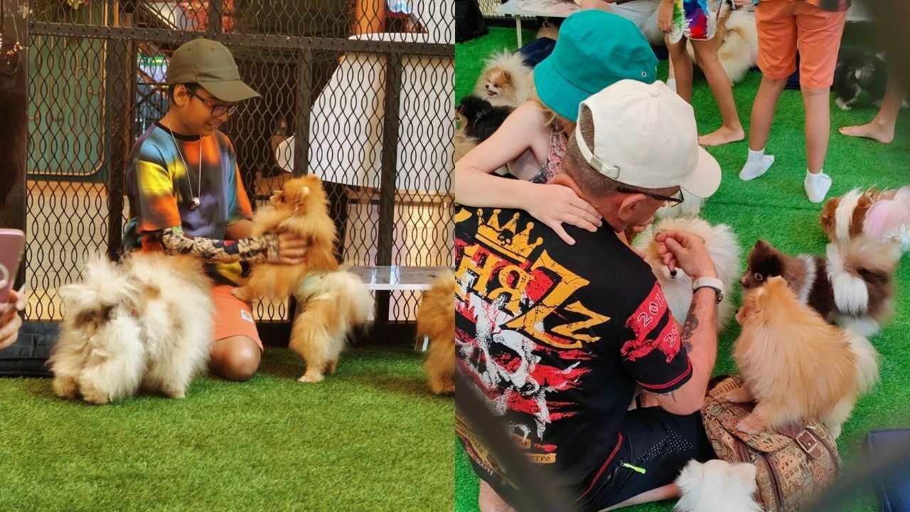 Kids petting puppies at Kids Day 2025 x Giant Dog