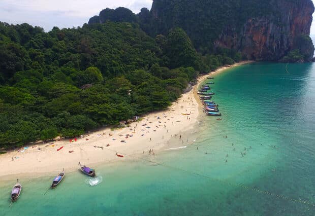 Dugong baby boom? Rare sea creatures spotted off Krabi coast | News by Thaiger