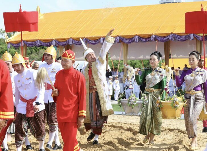 Royal Ploughing Ceremony kicks off Thailand's rice planting season | News by Thaiger