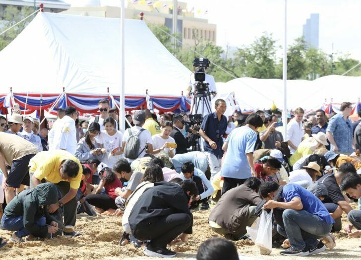 Royal Ploughing Ceremony kicks off Thailand's rice planting season | News by Thaiger