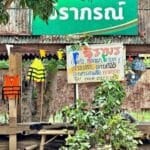 Chiang Rai restaurant struggles as tourists flee contamination fears