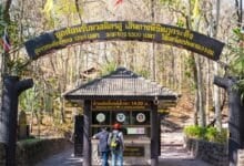 Phu Kradueng cable car sparks sustainability fears