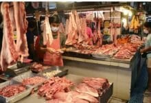 Thailand reports first anthrax death in 30 years, health alert issued