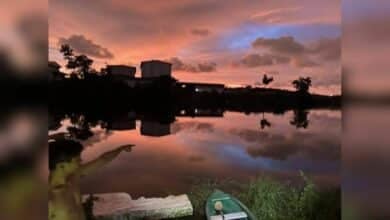 Body of Myanmar man missing after drowning in Phuket pond