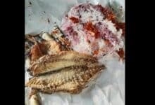 Phuket shopper horrified by squirming surprise in salted fish