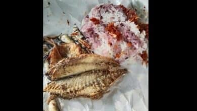 Phuket shopper horrified by squirming surprise in salted fish