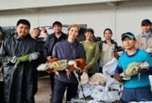 Officials capture 94 iguanas wreaking havoc on Thai crops