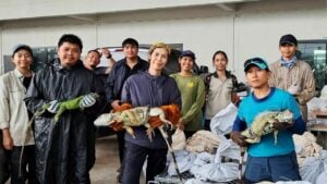 Officials capture 94 iguanas wreaking havoc on Thai crops