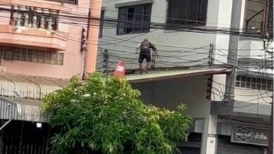 ‘Spider-Man’ thieves caught after rooftop escape in Sakon Nakhon