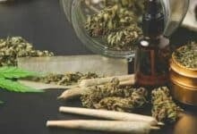 Thailand tightens medical cannabis rules: Prescription-only flowers