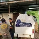 3 dead, dog electrocuted in storm-hit garage in Ayutthaya | Thaiger