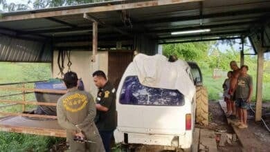 3 dead, dog electrocuted in storm-hit garage in Ayutthaya