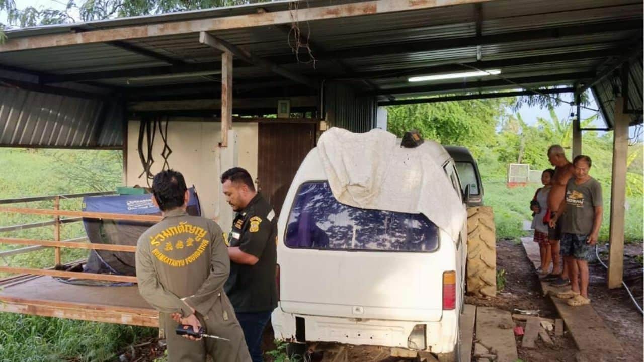 3 dead, dog electrocuted in storm-hit garage in Ayutthaya