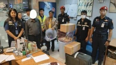 27 animals seized, 2 arrested in Bangkok airport wildlife sting
