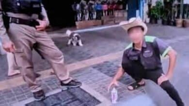 Udon Thani motorist fined for repainting no-parking kerb