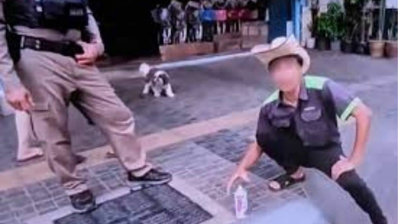 Udon Thani motorist fined for repainting no-parking kerb