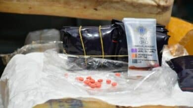 Chiang Mai smugglers dump 2 million speed pills in jungle