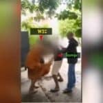 Udon Thani temple funeral turns violent as monk and man fight (video) | Thaiger