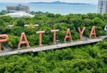 Pattaya’s PR blitz falls flat as expats warn of scams