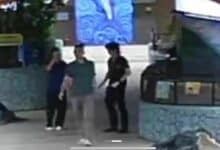 Chinese arrested for molesting intern at Chiang Mai aquarium