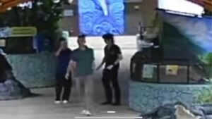 Chinese arrested for molesting intern at Chiang Mai aquarium