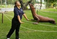Giant monitor lizard statue draws crowds to Bangkok park