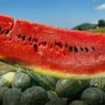 Southern Thai watermelon gets GI boost in sweet victory