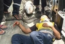 Fish from hell: Thai trucker KO’d by flying tuna in Samut Prakan