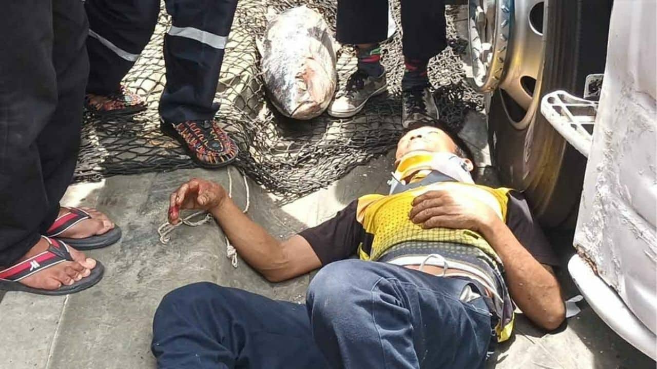 Fish from hell: Thai trucker KO’d by flying tuna in Samut Prakan
